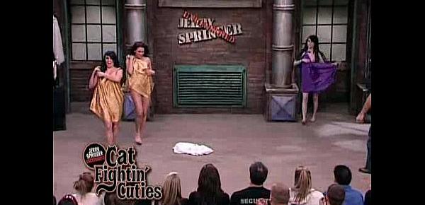 Jerry Springer Cat Fightin Cuties